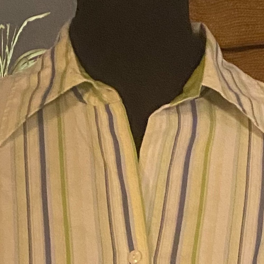 #33 Tribal-Tailored Button Down Top - Picture 3 of 6